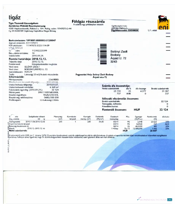 download download HUNGARY TIGAZ utility bill Word and PDF template PDF template PDF template